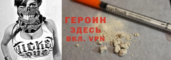 индика Алексин