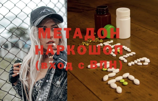 индика Алексин
