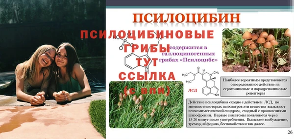 индика Алексин
