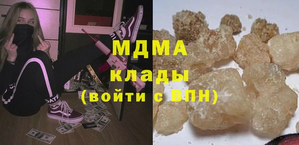 индика Алексин
