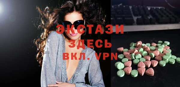 индика Алексин