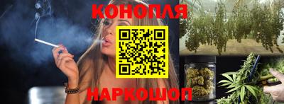 крисы Можга