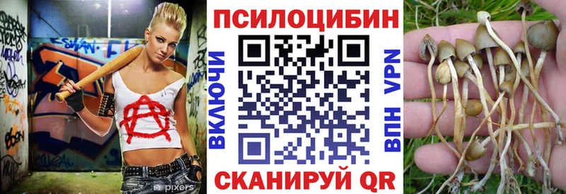 Галлюциногенные грибы прущие грибы  MEGA ССЫЛКА  Электрогорск 