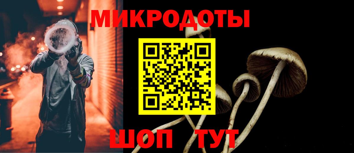 Галлюциногенные грибы прущие грибы Электрогорск